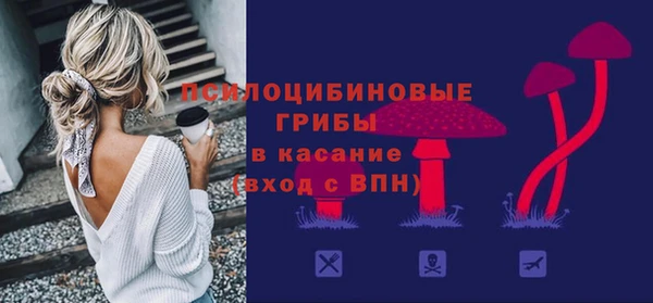 таблы Богородицк
