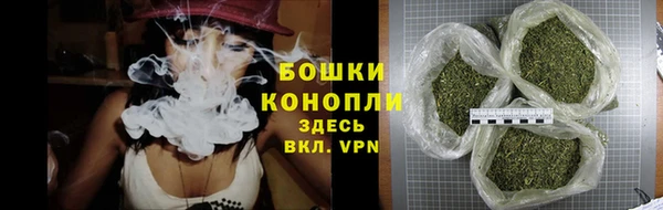 гашик Богородск