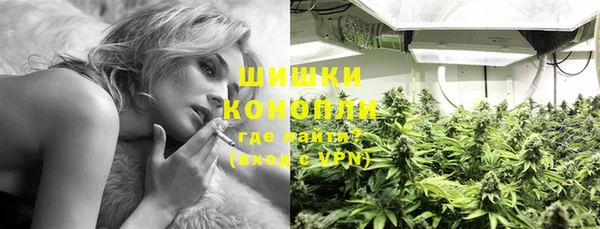 гашик Богородск
