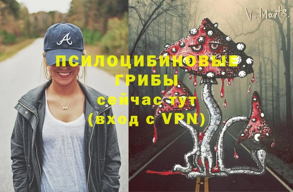 MESCALINE Богданович