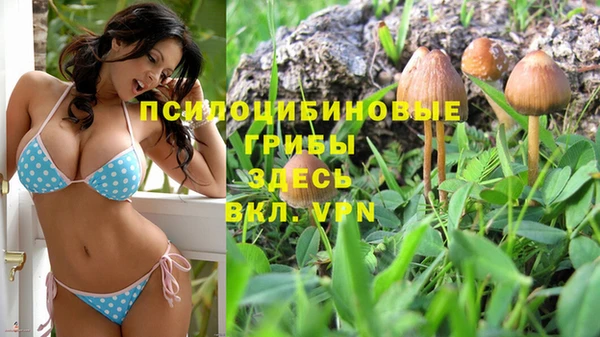 экстази Снежногорск